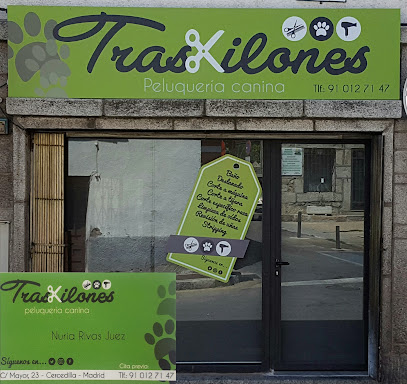 Traskilones | Peluqueria para perros en Cercedilla