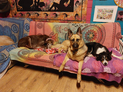 Good Dog | Adiestradores de perros en Allence