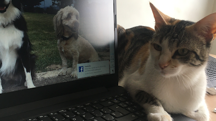 Perrygatos | Adiestradores de perros en Logroño