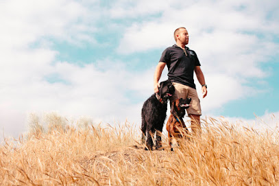 Natural-Dogs | Adiestradores de perros en Vinuela