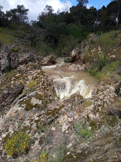 La Murilla | Guardería para perros en Córdoba