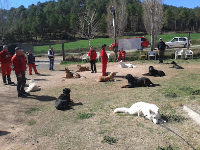 Els Tres Pins | Guardería para perros en Balsareny