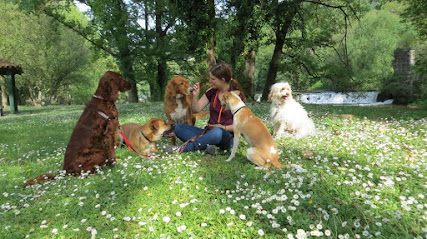 Aldara & Brownie | Guardería para perros en Quins