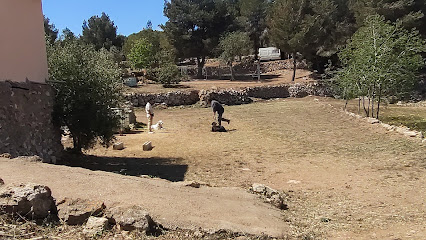 Espai Verd | Guardería para perros en Tarragona