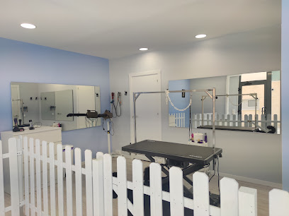 Dog Salon | Santa Cristina d'Aro