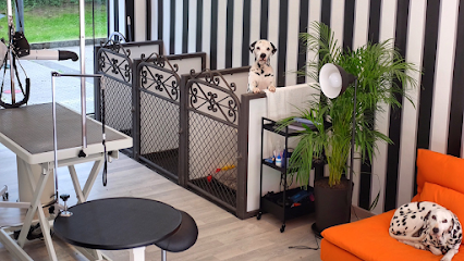 The Pelos | Peluqueria para perros en San Sebastián
