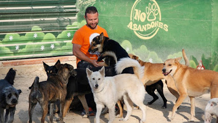 Somos Muy Perros | Guardería para perros en Murcia