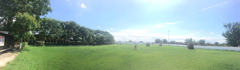 Deport-Can | Guardería para perros en Lliria