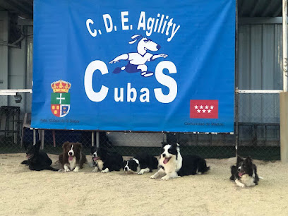 Agility Canino | Adiestradores de perros en Cubas de la Sagra