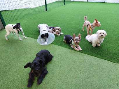 Oh, Puppy Day! | Guardería para perros en Arroyomolinos