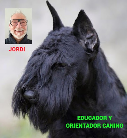 EducaGos | Adiestradores de perros en Sant Cugat del Valles