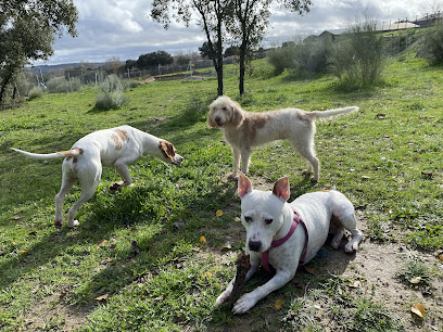 KALMA Residencia Animal | Guardería para perros en Brunete