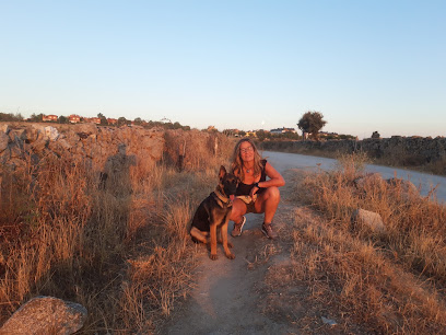 Educadora Canina | Adiestradores de perros en San Agustin del Guadalix