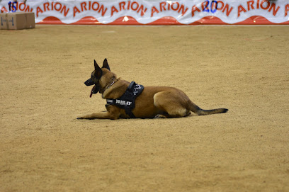 Torvi | Adiestradores de perros en Hijar