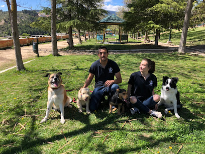 Nadog | Adiestradores de perros en Cocentaina