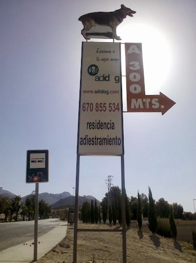 Adidog | Adiestradores de perros en Jaen