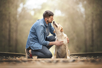 PasseigxBarcelona | Guardería para perros en Barcelona