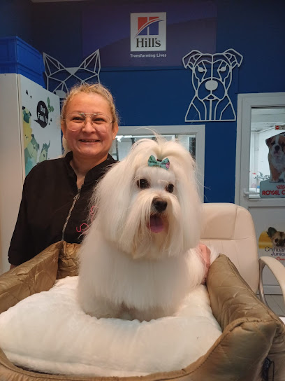 My de ar Pet | Peluqueria para perros en Santander