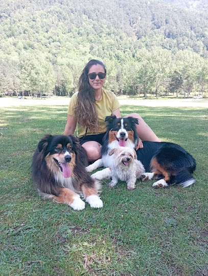 Biloba | Adiestradores de perros en Jaca