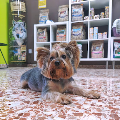 Maxi Dogs | Peluqueria para perros en Valencia