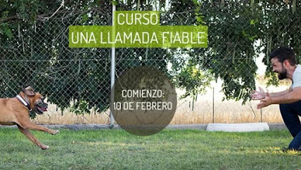 Solo Es Un Perro | Adiestradores de perros en Madrid