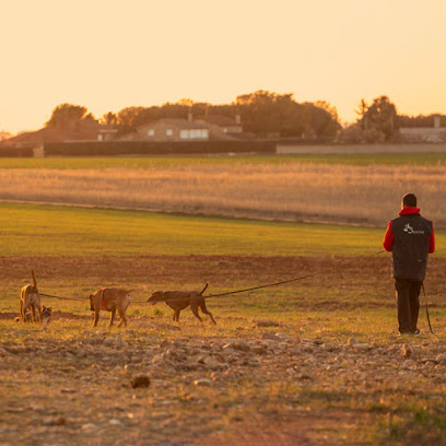 Club Canino Baucan | Adiestradores de perros en Salamanca