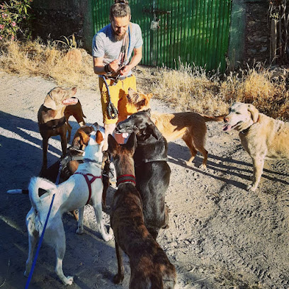 Elacan - Servicios caninos | Guardería para perros en Villar de Plasencia