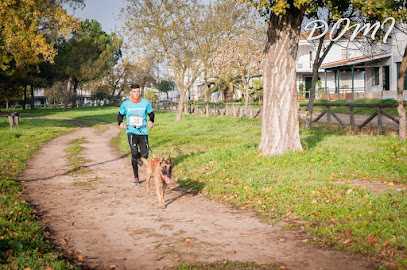 Dogtm | Adiestradores de perros en Entrerrios