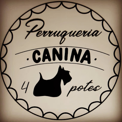 4 Potes | Peluqueria para perros en Malgrat de Mar