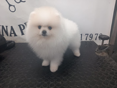 Pepe | Benalup-Casas Viejas