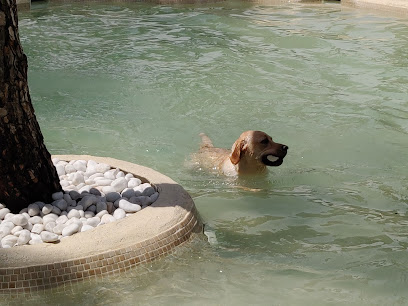 MR | Guardería para perros en Las Rozas de Madrid