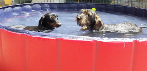 Tatinejos | Guardería para perros en La dirección se encuentra en Cantabria.