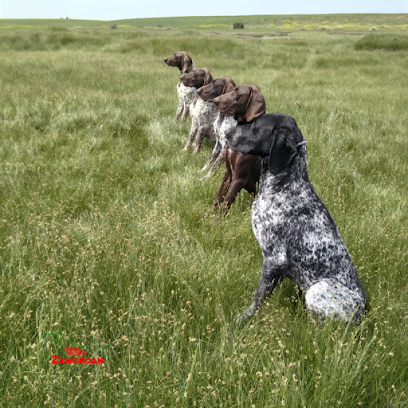 Zamorcan | Adiestradores de perros en Villalpando