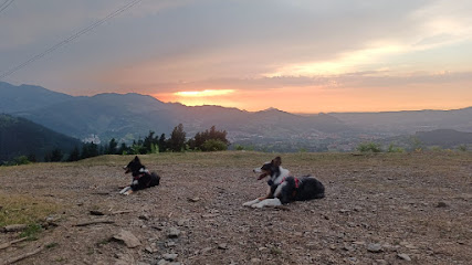 Orekan Txakur Elkartea | Adiestradores de perros en Zelaia