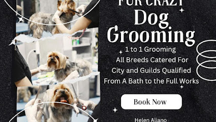 Fur Crazy Dog Grooming | Peluqueria para perros en Teulada