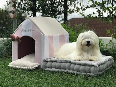 Coco y Yo | Guardería para perros en Verges