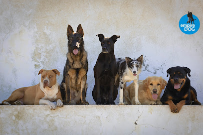 empireDOG | Guardería para perros en Madrid