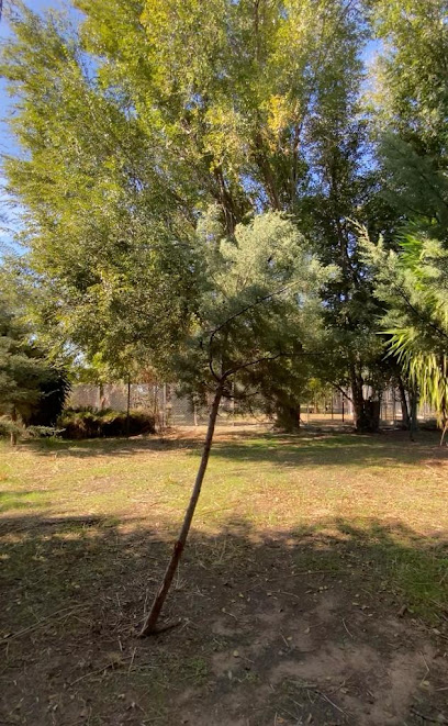 Maskotas Hotel Canino | Guardería para perros en Córdoba