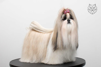 Nicolas Herrero | Peluqueria para perros en Madrid