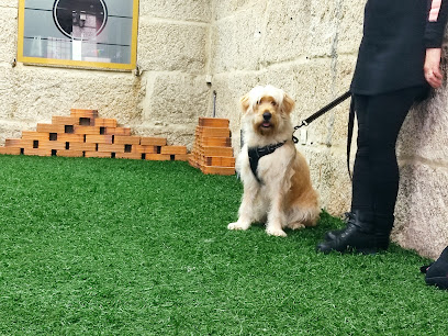 Candati | Adiestradores de perros en Sardoma