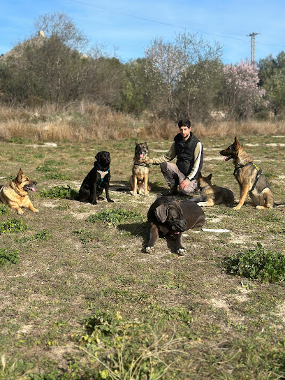 Lupus A Kan | Adiestradores de perros en Cocentaina