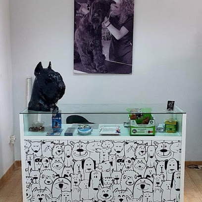Herr Riesen Estilistas Caninos | Peluqueria para perros en Vinaròs