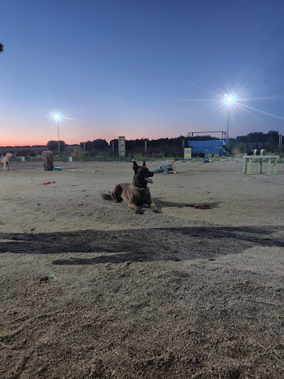 Sagracan | Adiestradores de perros en Cedillo del Condado
