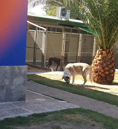 Robles de Gadea | Guardería para perros en Fuente el Saz de Jarama