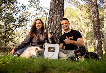 Dos Adiestramiento | Adiestradores de perros en Barcelona