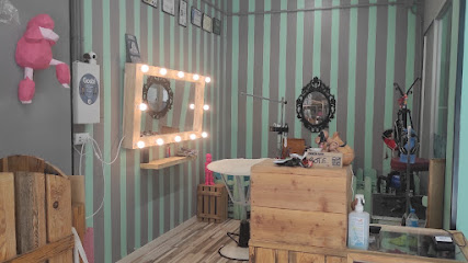 Doggy Dog | Peluqueria para perros en Gavà