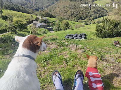 Finca La Cacalla | Guardería para perros en Niseiros