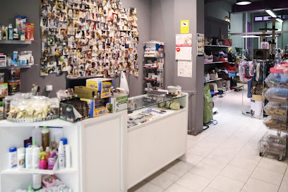 Bon Can | Peluqueria para perros en Barcelona