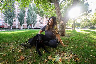 La Perropeuta | Adiestradores de perros en Mostoles