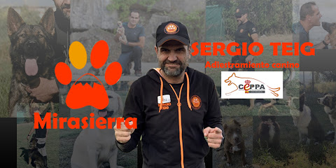 Mirasierra. | Adiestradores de perros en Granada